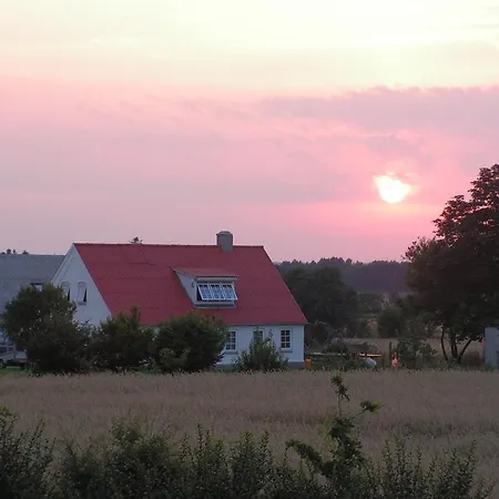Brunbjerg 빌룬드