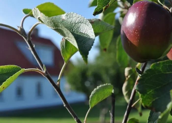 Brunbjerg Apartment Billund