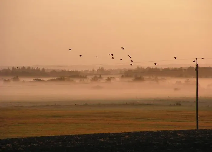 Apartament Brunbjerg Billund